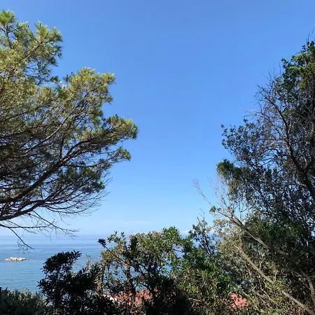 Golfo Del Sole & 4* フォッローニカ