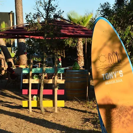 Golfo Del Sole & フォッローニカ