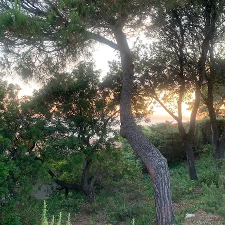 Golfo Del Sole & フォッローニカ